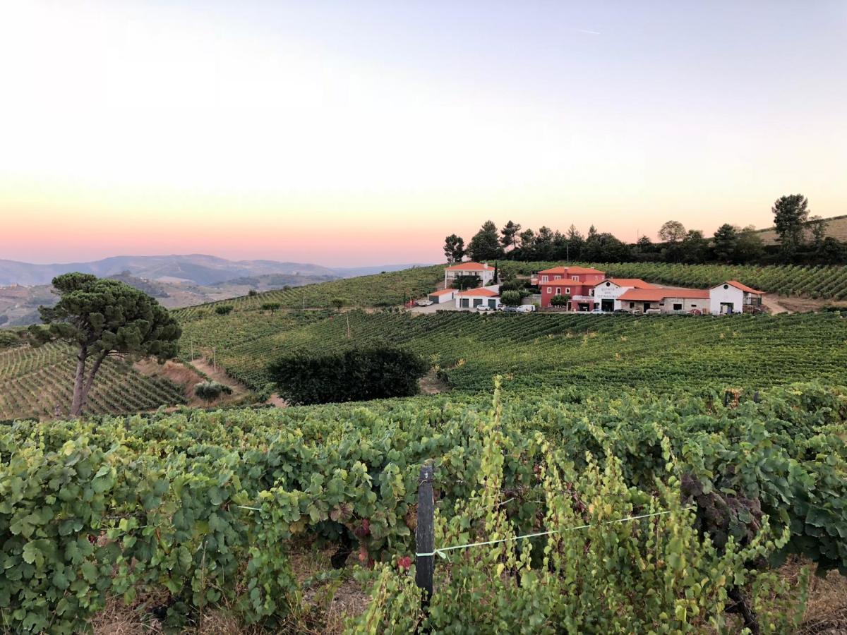 ProvesendeQuinta Dos Espinheiros别墅 外观 照片