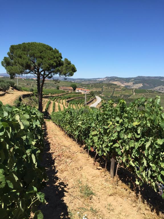 ProvesendeQuinta Dos Espinheiros别墅 客房 照片