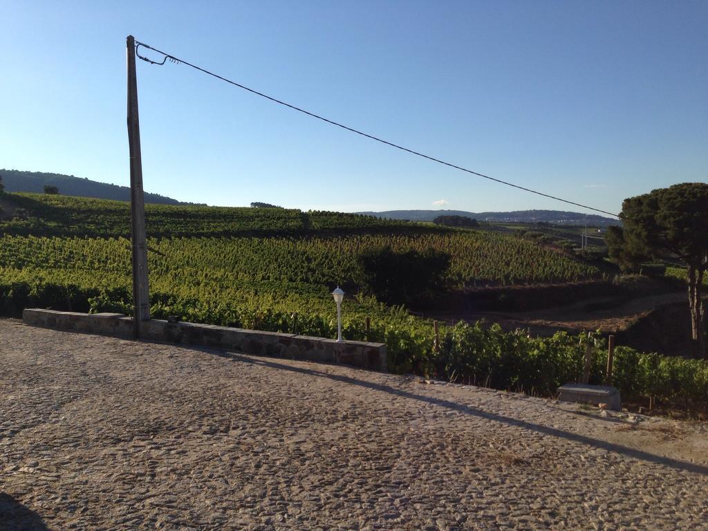 ProvesendeQuinta Dos Espinheiros别墅 客房 照片