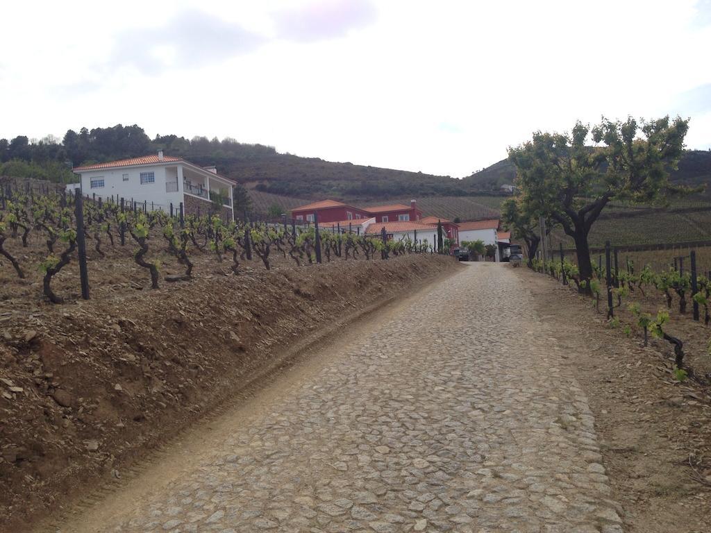 ProvesendeQuinta Dos Espinheiros别墅 客房 照片