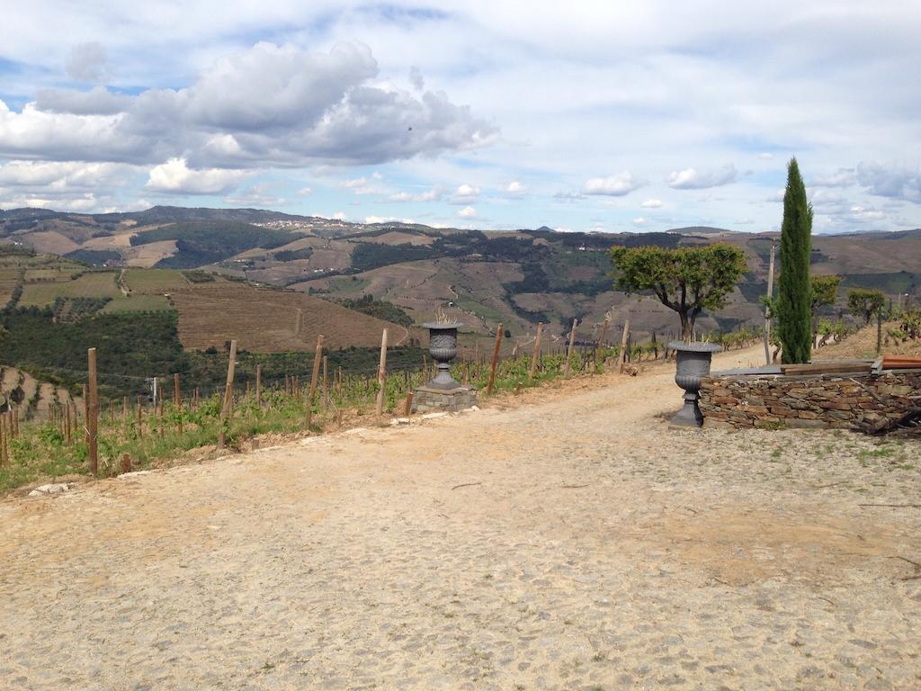 ProvesendeQuinta Dos Espinheiros别墅 客房 照片