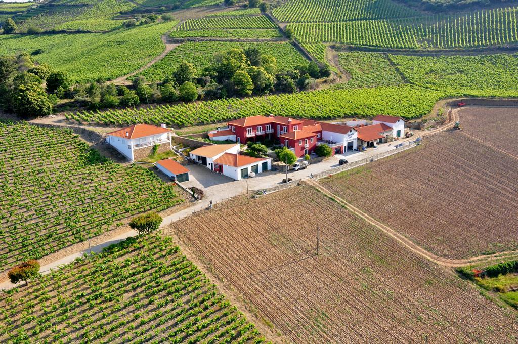 ProvesendeQuinta Dos Espinheiros别墅 外观 照片