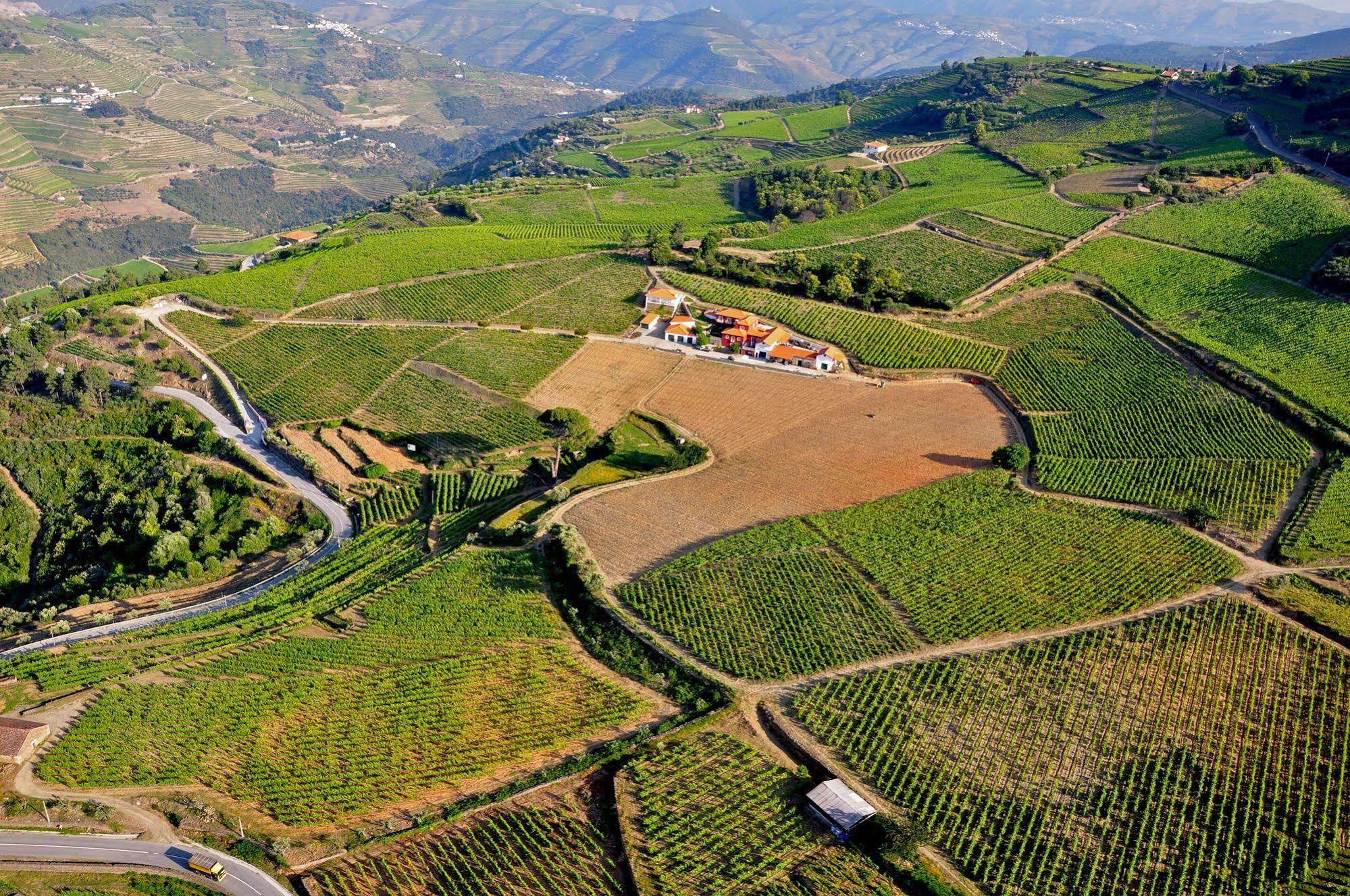 ProvesendeQuinta Dos Espinheiros别墅 外观 照片