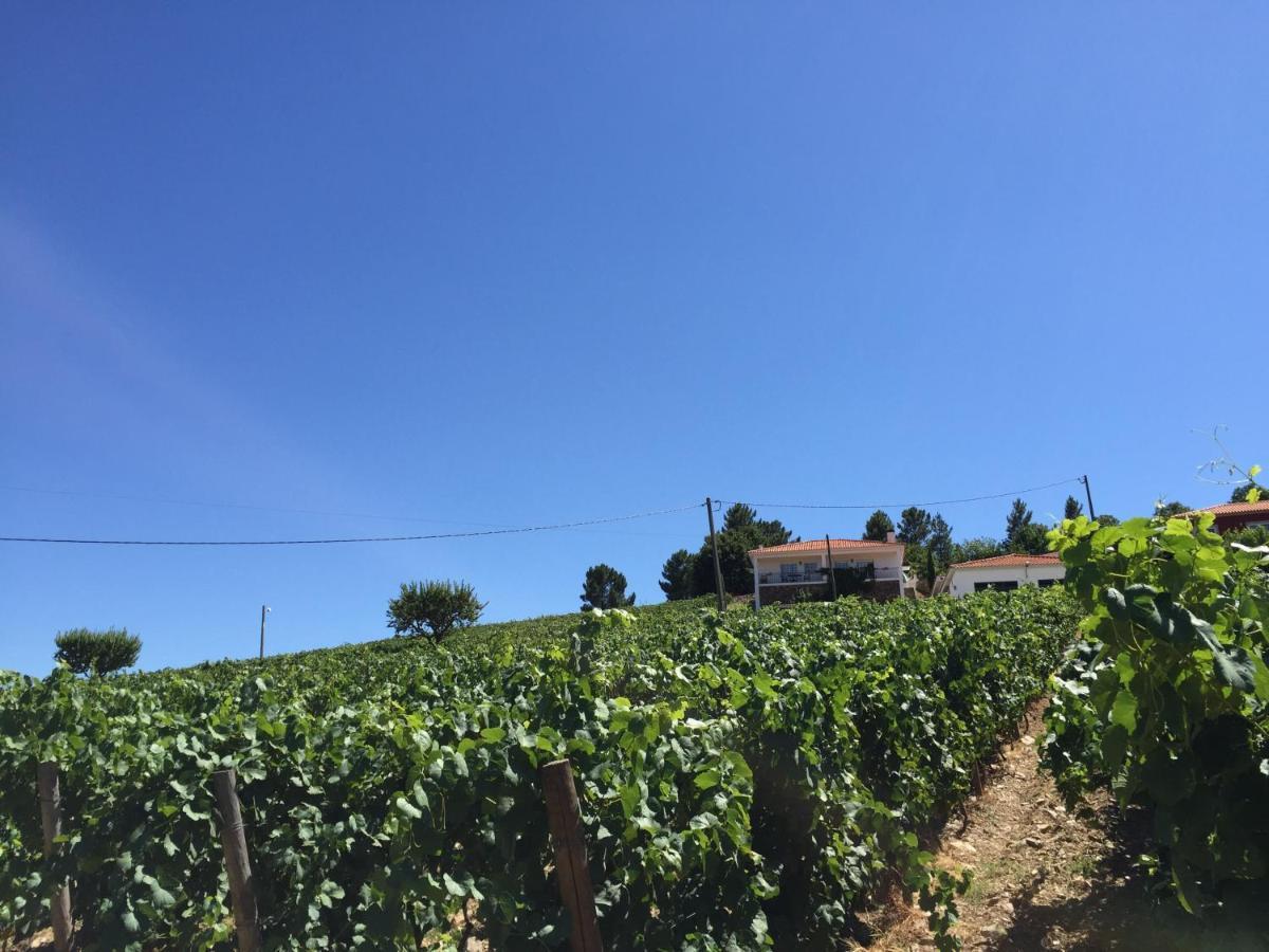 ProvesendeQuinta Dos Espinheiros别墅 客房 照片