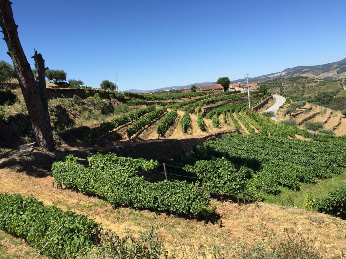 ProvesendeQuinta Dos Espinheiros别墅 客房 照片