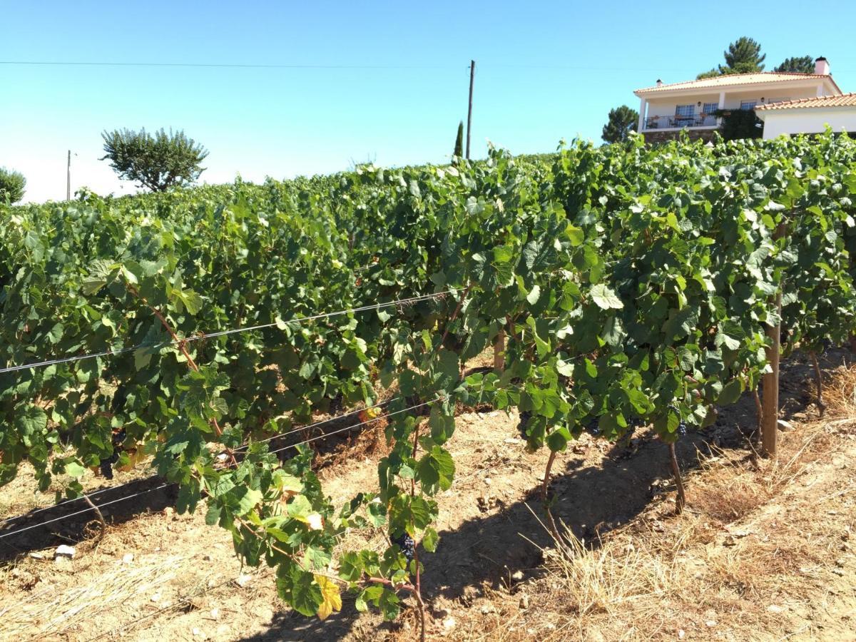 ProvesendeQuinta Dos Espinheiros别墅 客房 照片